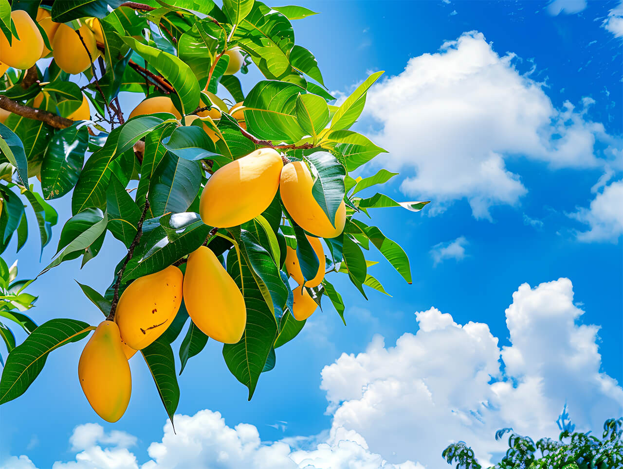 在峡谷里  契诃夫