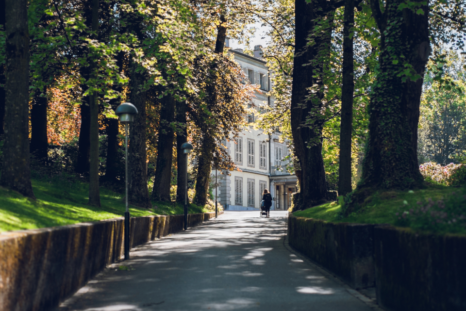 词语  叶芝  现代诗