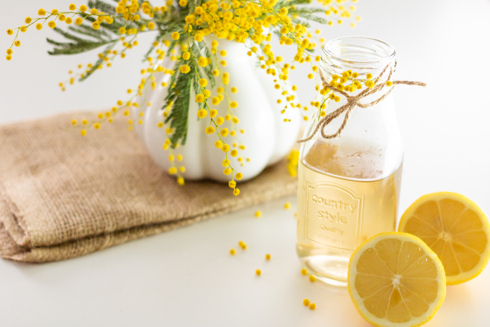 一个妇女的命运   里尔克