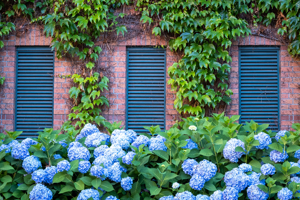 不可知  博尔赫斯