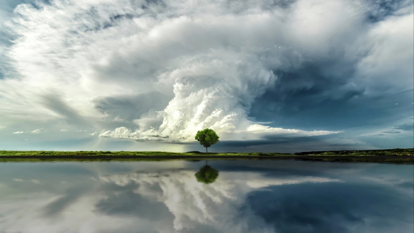 梦  冰心 散文选