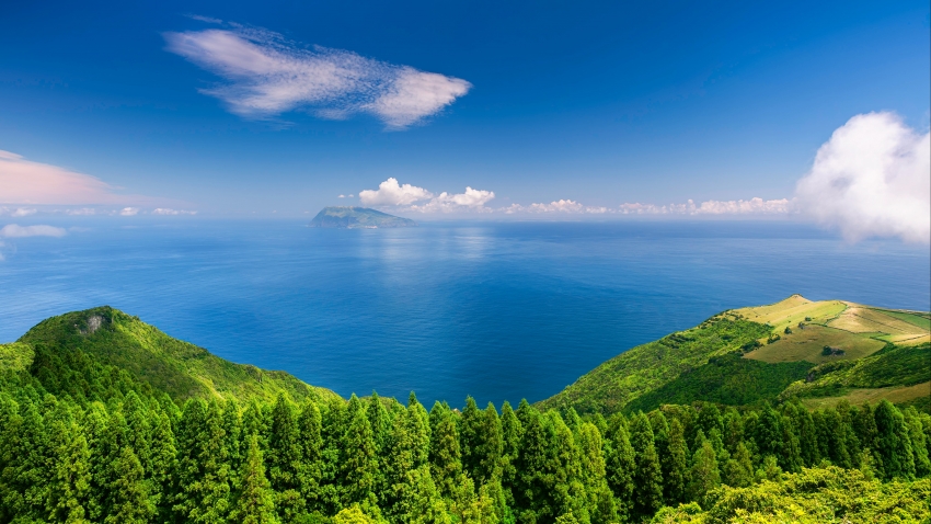 月夜忆舍弟 杜甫