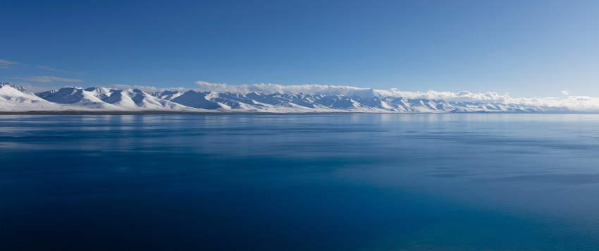 红玫瑰与白玫瑰  张爱玲