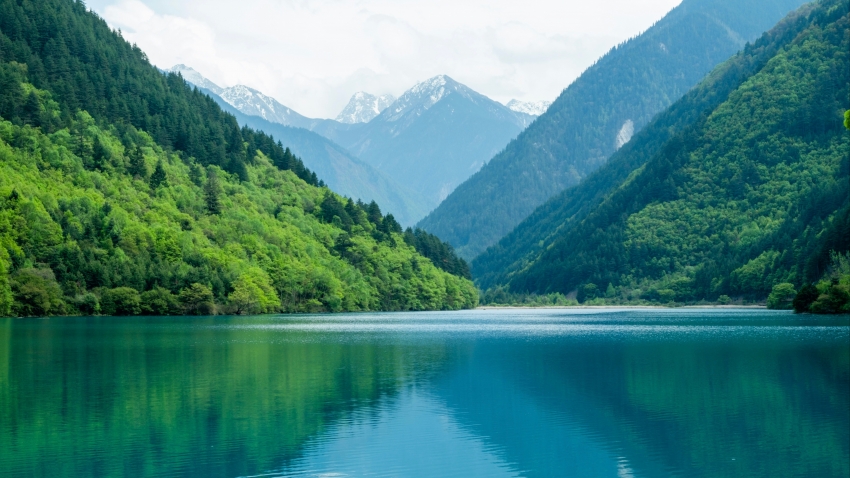 天净沙·秋 白朴