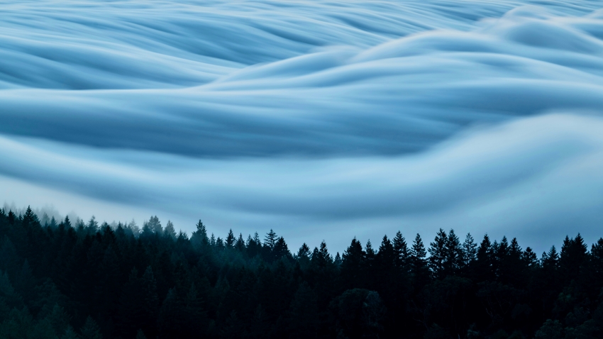 谜语  博尔赫斯