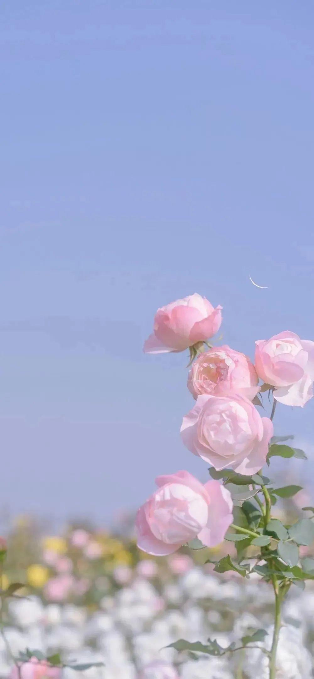 我的叔叔于勒 莫泊桑