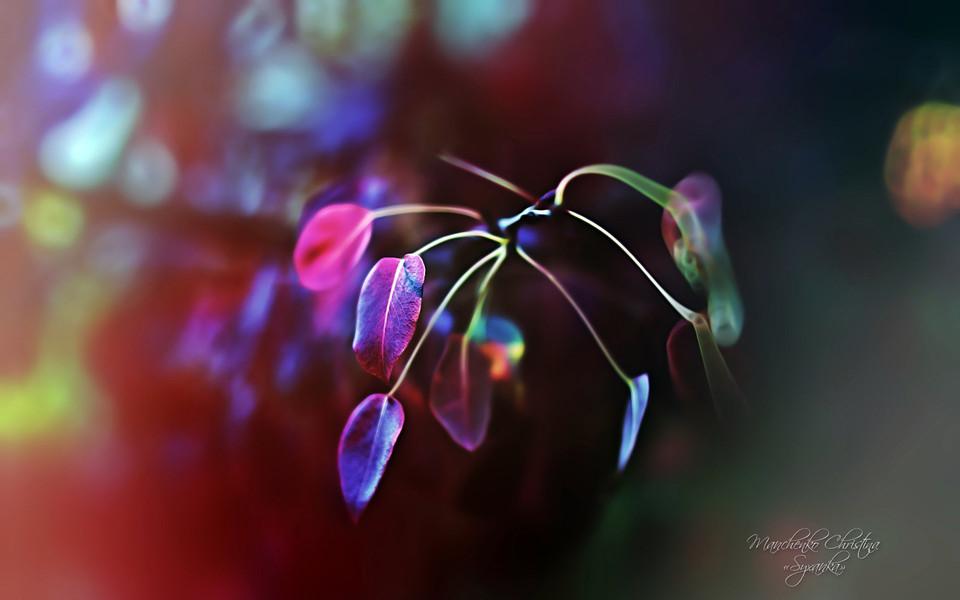 致 玛 丽   雪莱