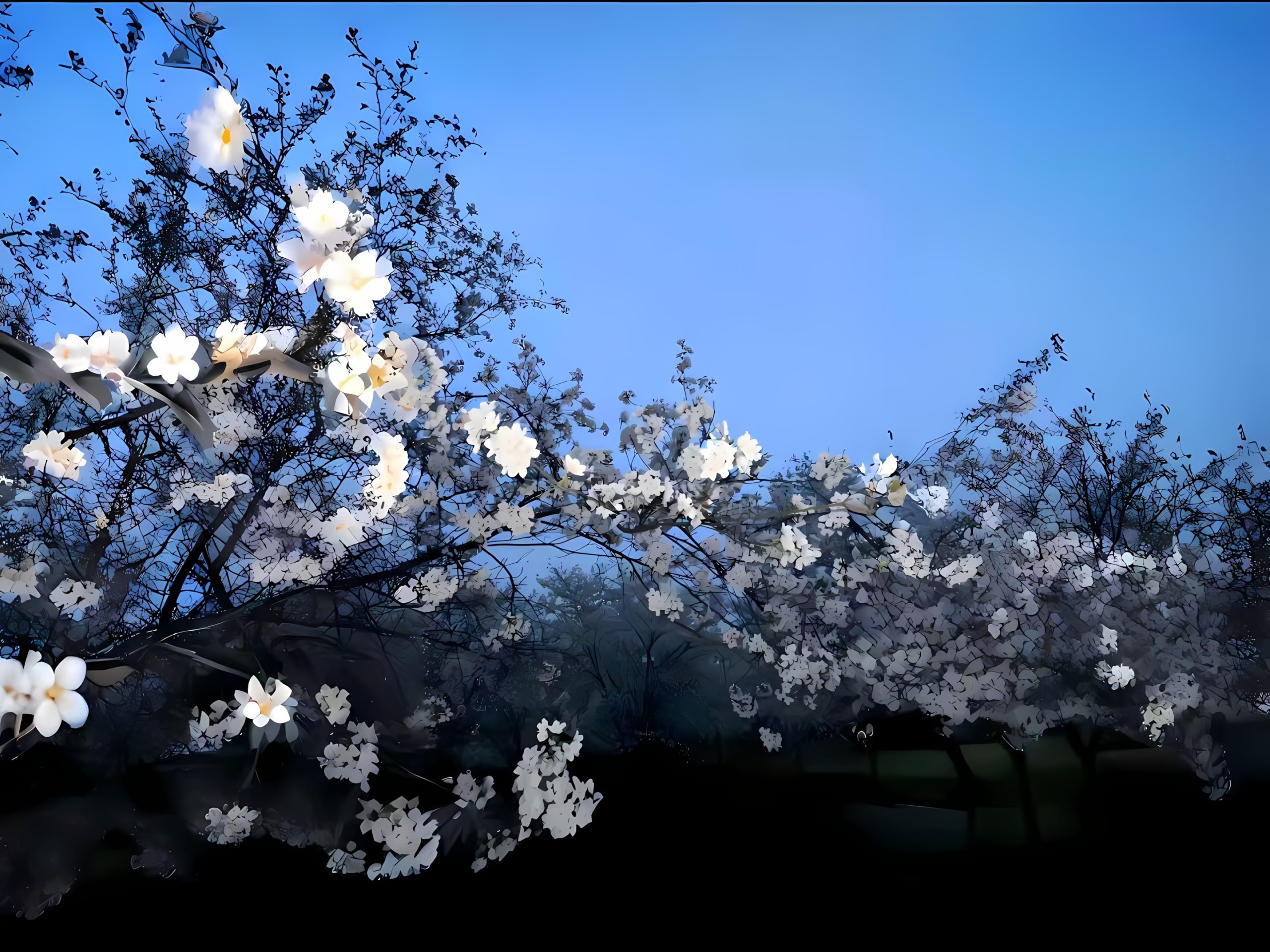 别揭开这画帷   雪莱