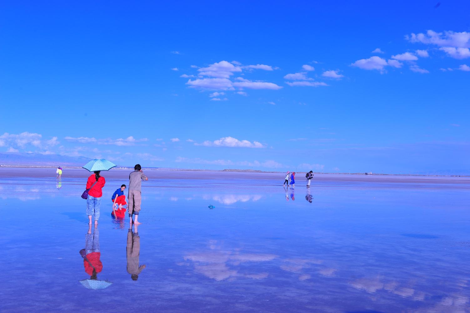 阿波罗礼赞   雪莱