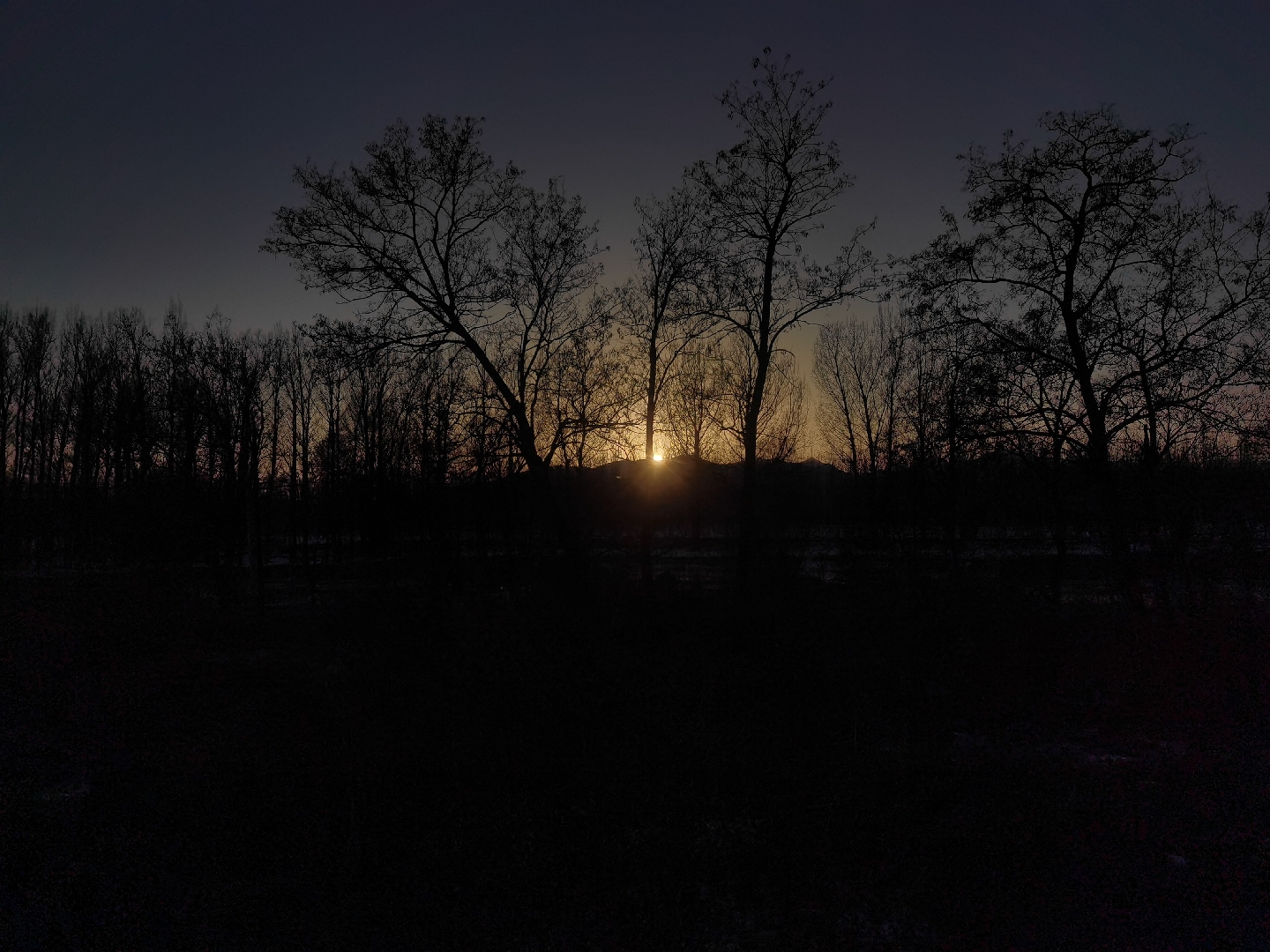 我们选择的道路   欧·亨利