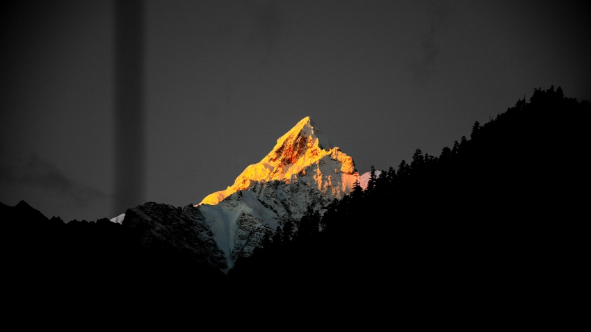 头发的故事  鲁迅