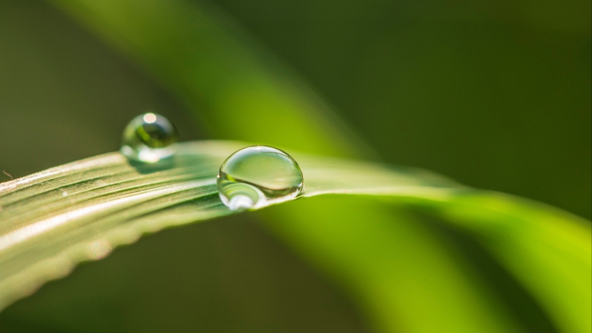 北平的秋  老舍