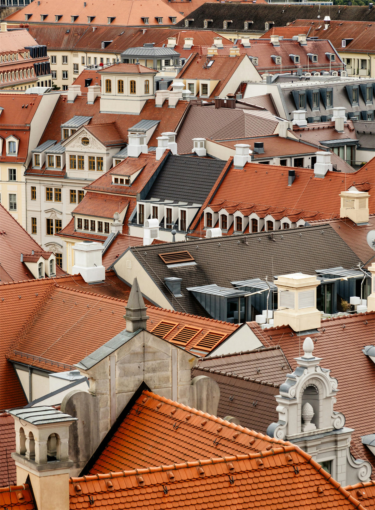 海边的白蝴蝶  林清玄