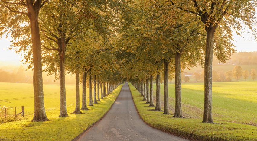 丑西湖  徐志摩