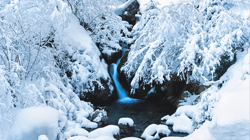 欧罗巴旅馆   萧红