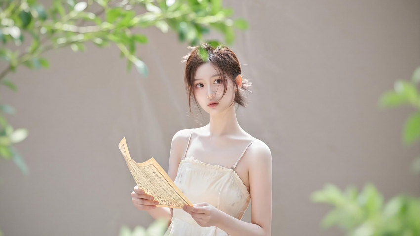 南乡子·归梦寄吴樯 陆游