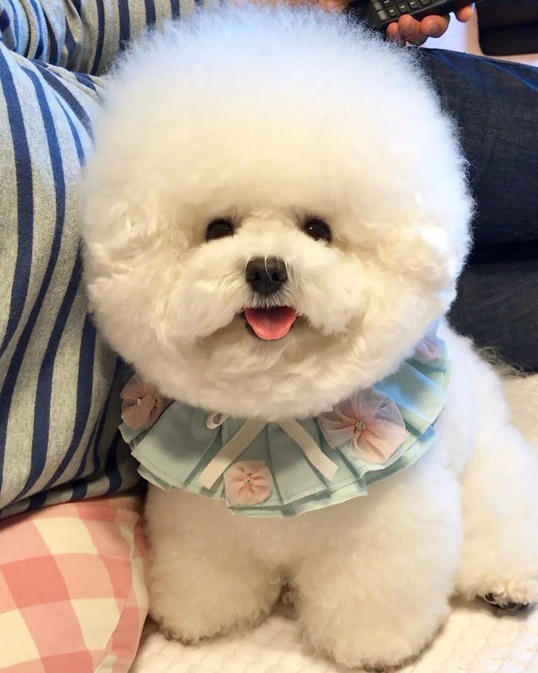 两个朋友  莫泊桑