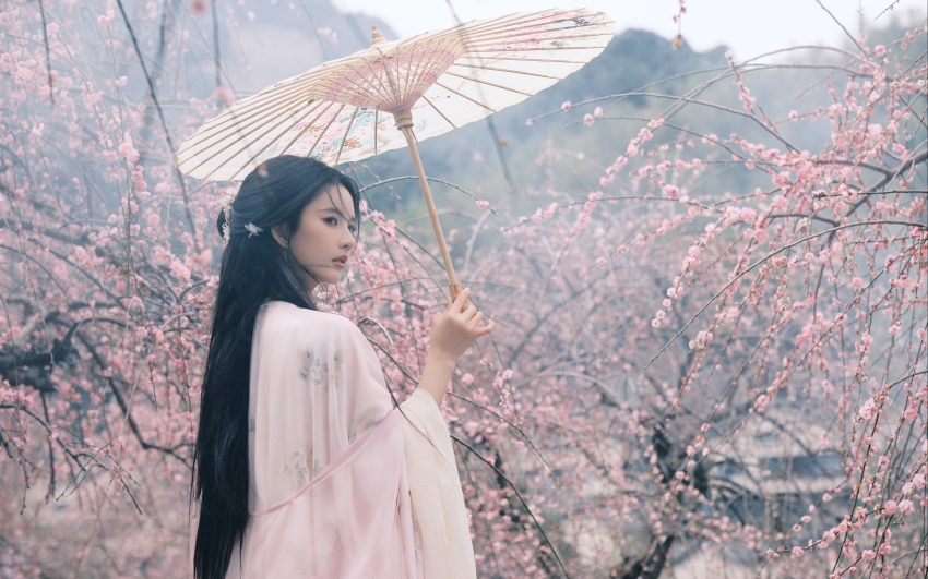 沁园春·孤鹤归飞 陆游