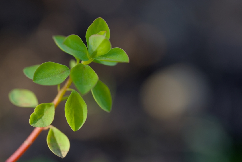 沙原隐泉  余秋雨