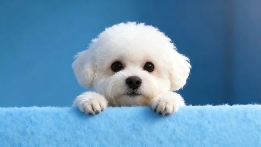 日记：我仅仅存在于此