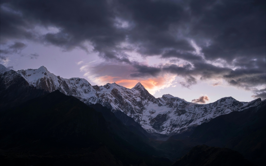 不要惊扰她  余秀华