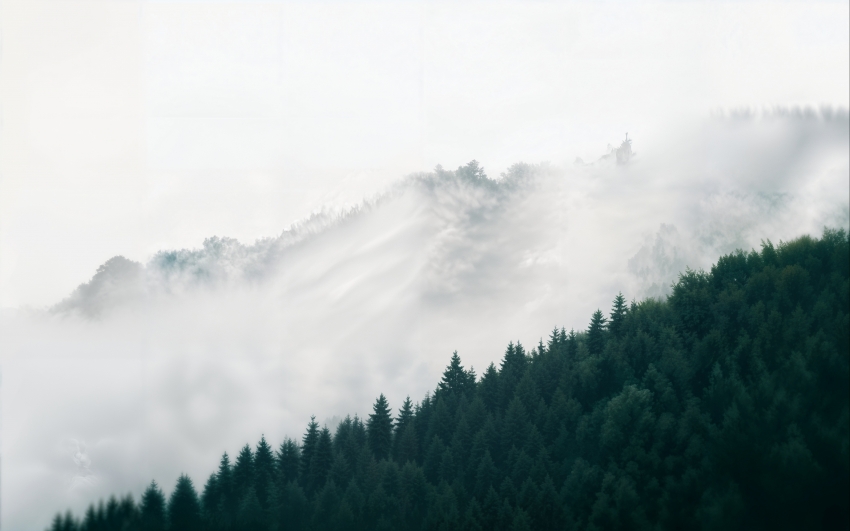 忠贞的公牛  海明威